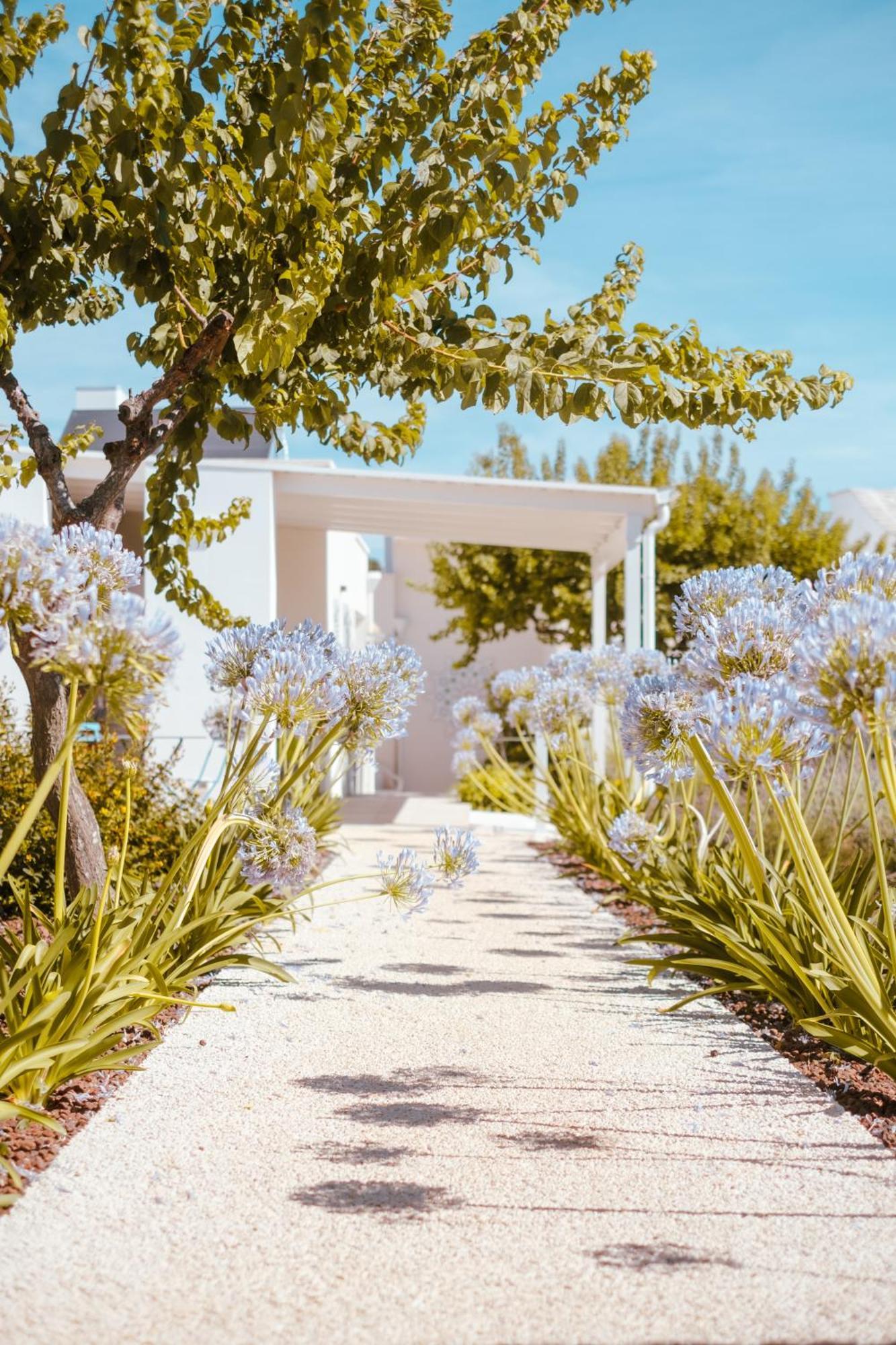 Iconica Luxury Suites Alberobello Exterior photo